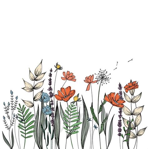 Wildflowers Line Drawing Wall Decor Botanical Illustration | Etsy ...