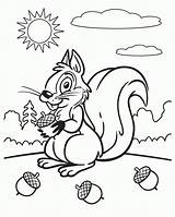 Get This Kids Printable Squirrel Coloring Pages Free Online P2s2s sketch template