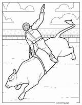 Bull Coloring Pages20  Free Printable coloring pages Cute sketch template