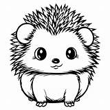 Premium Vector  Cute Hedgehog coloring pages sketch template