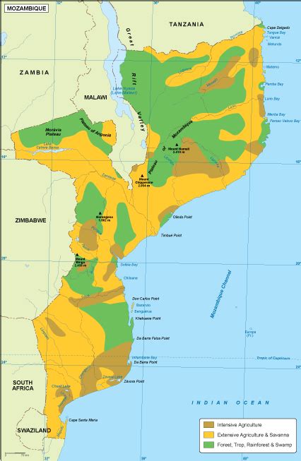 Mozambique vegetation map. EPS Illustrator Map | Vector World Maps