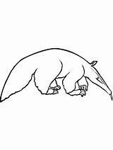Oso hormiguero Para Colorear  Imprimible Y Gratis Niños sketch template