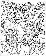 Free Printable Butterfly Coloring Pages For Adults At GetDrawings  sketch template