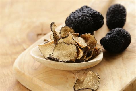 French black truffle Stock Photo 04 free download