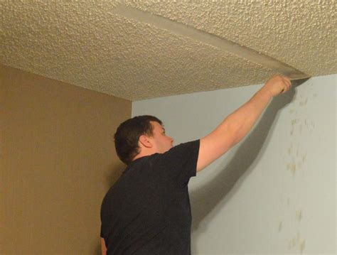 One Step Forward...More Tips for DIY Popcorn Ceiling Removal - Loving Here