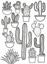 Cactus Coloring Page  Home sketch template