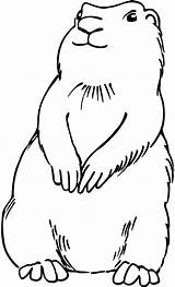 Prairie Dog Coloring Page At GetColoringscom  Free Printable sketch template