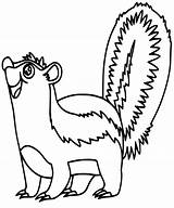 Skunk Coloring Pages  Free Printable Coloring For Kids sketch template