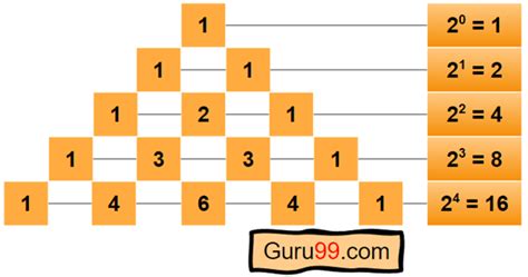 Pascal’s Triangle – Formula, Patterns & Examples