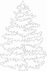 Free Pine Tree Printables sketch template