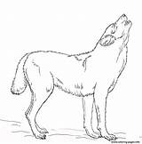Howling Wolf Coloring Page Printable sketch template