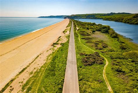 South Devon - Slapton Ley (Day Trip) - Naturetrek