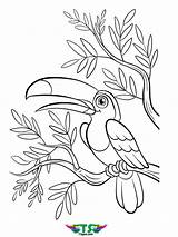 Beautiful Bird coloring Page free download  TSgoscom sketch template
