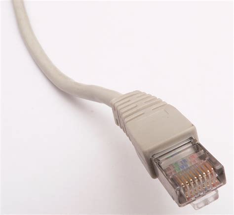 File:Ethernet RJ45 connector p1160054.jpg - Wikipedia, the free encyclopedia