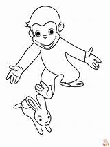Curioso Jaula Curieux Coloriage Affe Petit Colorir Ciekawski  sketch template