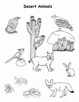 California Desert Coloring Page  Free Printable Pages For Kids sketch template