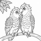 Parrot pair coloring Page Lulu Pages sketch template