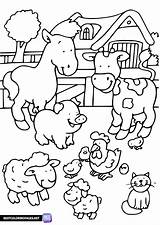 Animals On The farm coloring page  Free Printable pages sketch template