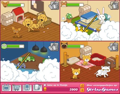 Animal Shelter game - FunnyGames.us