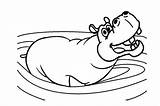 Hippo Image Outline coloring Page  Download Print Or Color Online For sketch template