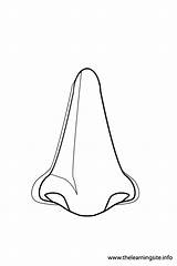 Nose Coloring Page sketch template