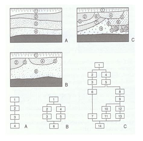 How To Draw A Harris Matrix » Linehouse