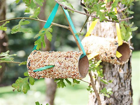 DIY Bird Feeder | Fun365