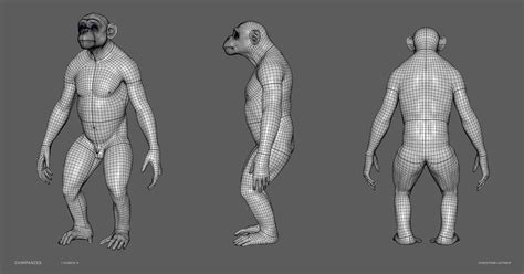 cl__air_ || Christian Leitner - MONKEY - Chimpanzee – sculpt/retopology/skeleton/muscles/uvs