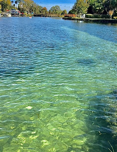 Crystal River Preserve State Park, a Florida State Preserve located ...