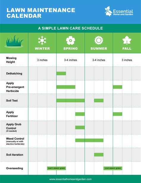 Year-Round Lawn Care Schedule - From Winter To Fall