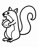 20 Pieces Of Squirrel Coloring / Children  sketch template