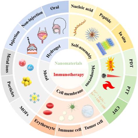 Frontiers | Nanomaterials: A powerful tool for tumor immunotherapy