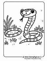 59 Snake Coloring Pages  Free Printable sketch template