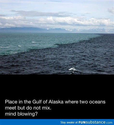 Mind blowing Gulf of Alaska fact | Gulf of alaska, Mind blown, Two ...