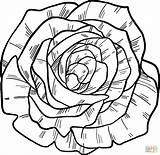 Pagina da colorare Rosa  Disegni Stampabili Gratuiti sketch template