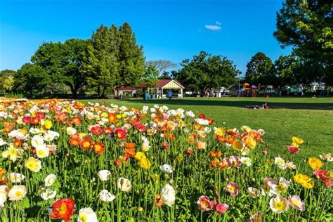 Top Things to Do in Toowoomba, QLD | NeedaBreak