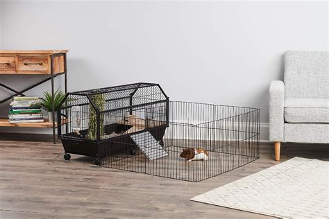 Best Guinea Pig Cage for 2 - Guinea Pig Cage Reviews