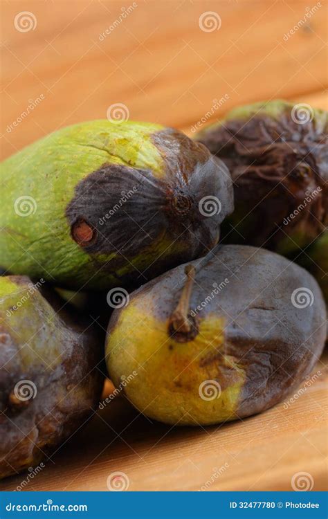 Rotten mango. stock photo. Image of rotten, peel, skin - 32477780