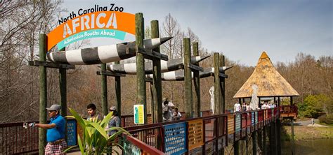 North Carolina Zoo Announces Record-Breaking Attendance of 1 Million Visitors | North Carolina Zoo