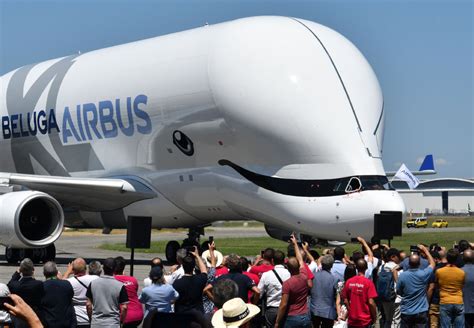 This Airbus Whale-Painted Transport Plane Puts the Whole World in Good Mood