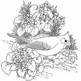 1000 Coloring Pages At GetColorings Free Printable Colorings  Adult sketch template