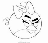 Angry Birds Coloring Pages For Kids sketch template