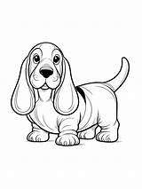 Basset Hound coloring Pages sketch template