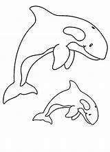 Whale Coloring Killer Pages Orca Whales Printable Color Blue Colouring  sketch template