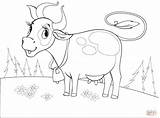Cow Coloring Krowa Sapi Kuh Mewarnai Gambar Vacas Vaca Kolorowanki  sketch template