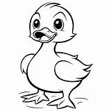 Duck Coloring Book For Kids And Toddlers A Unique Collection Of  sketch template