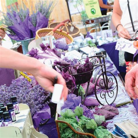 Lavender Festival - California 101 Guide