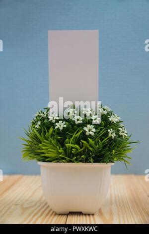 Blank business cards and little decorative tree in white vase on wooden working table with copy ...