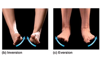 Issues with ankle bracing and taping (how we created the high ankle ...