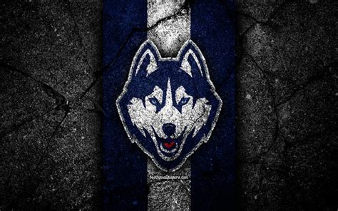 Download wallpapers UConn Huskies, 4k, american football team, NCAA ...